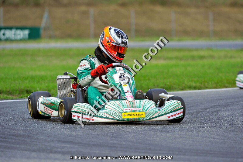 DSC_ (270).jpg